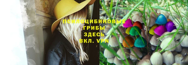 соль ск Балахна