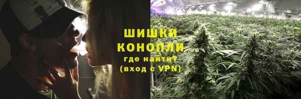 дживик Чердынь