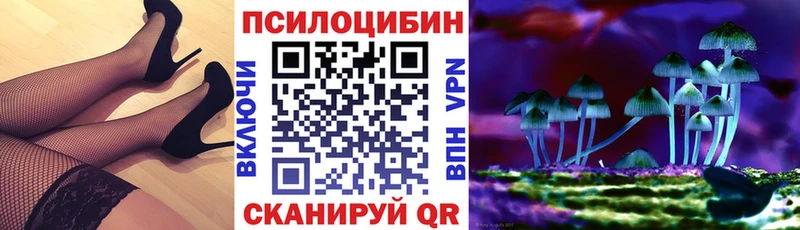 Псилоцибиновые грибы Cubensis  где продают наркотики  ОМГ ОМГ зеркало  Тамбов 