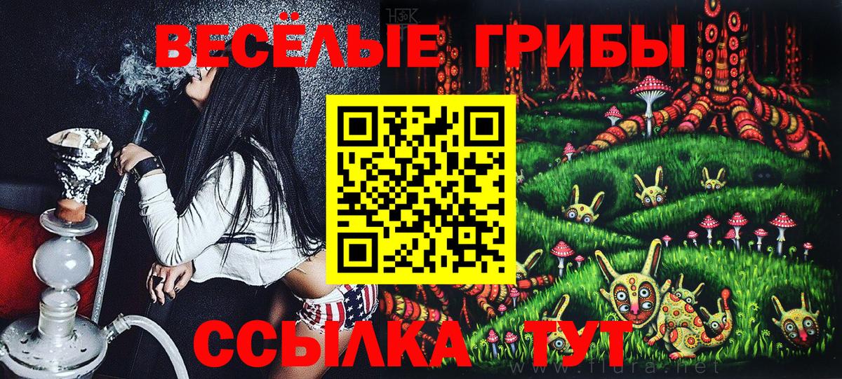 Тамбов  купить  сайты  Вход с VPN  Псилоцибиновые грибы ЛСД 